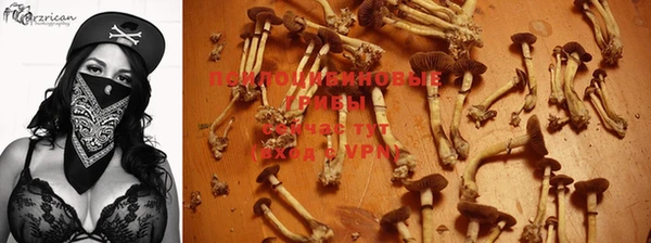 соль ск Ахтубинск